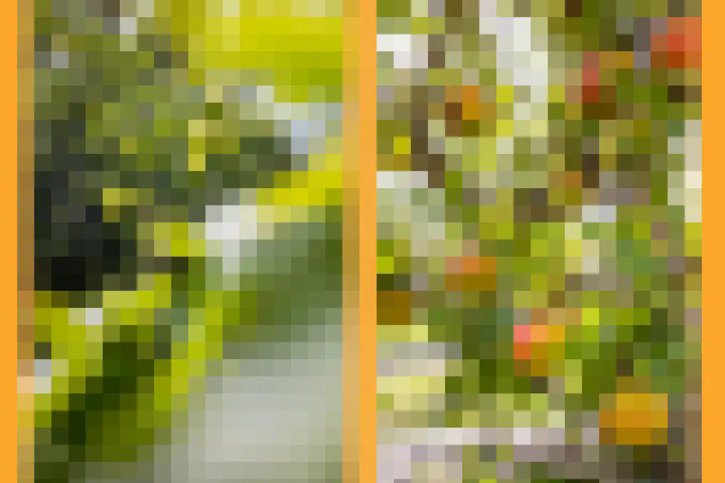 Rokadestraat 14 Utrecht thumbnail 30