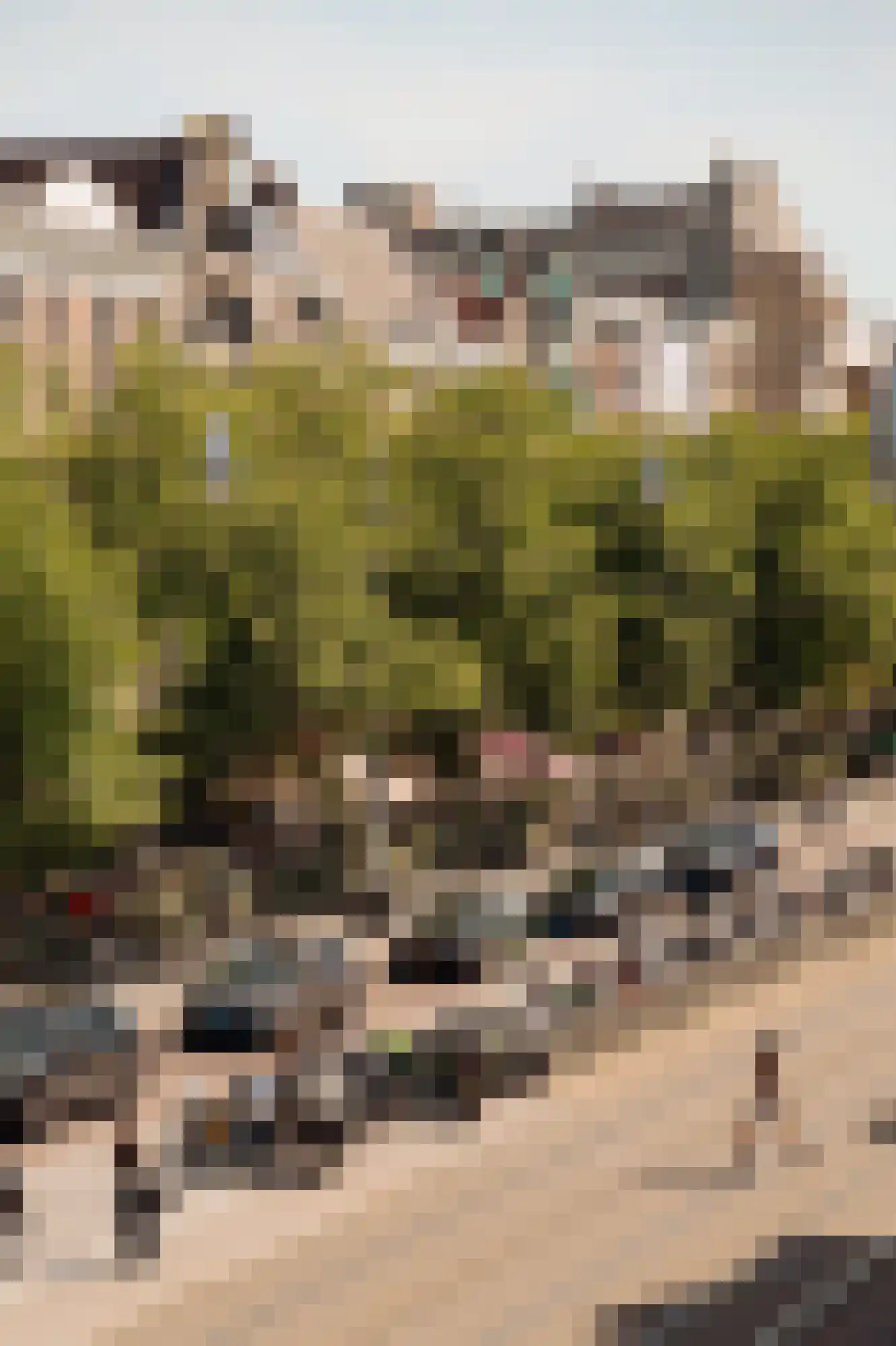 Rokin 50 C Amsterdam thumbnail 18