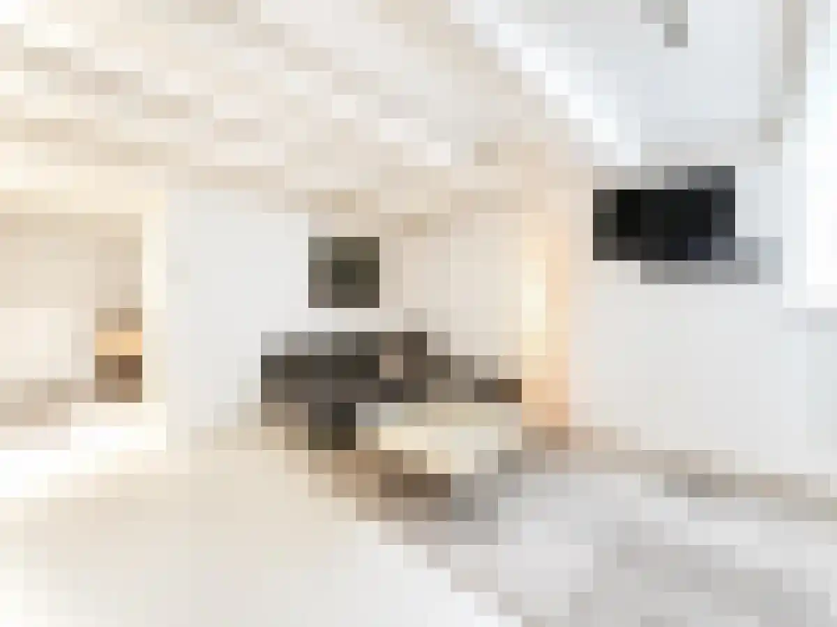 Rokin 87 Amsterdam thumbnail 4