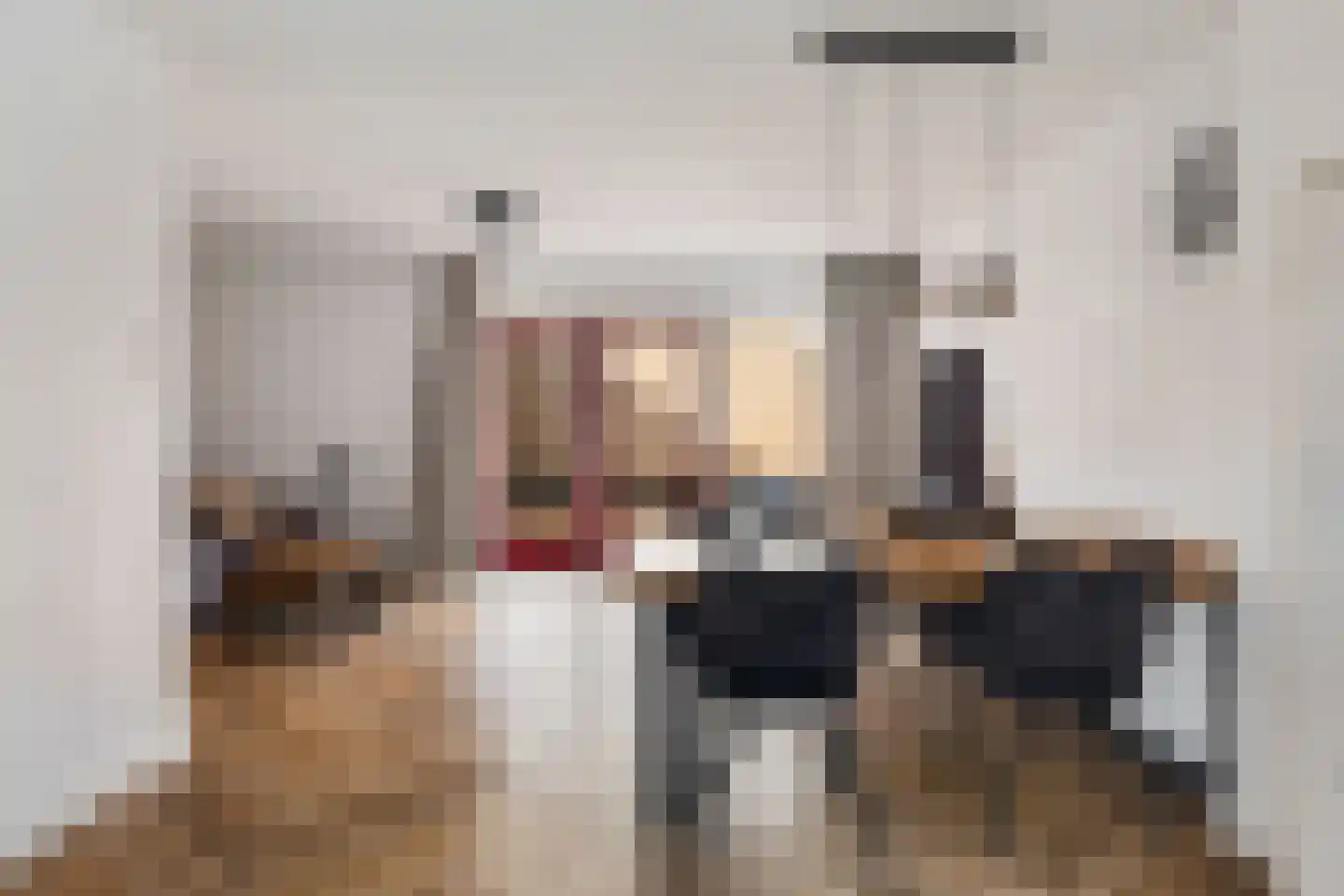 Rokkeveenseweg 1 G Zoetermeer thumbnail 12