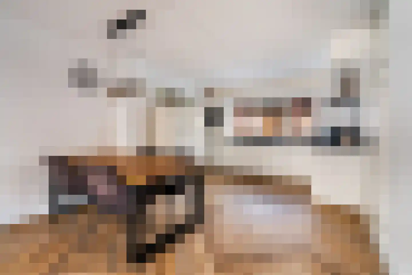 Rokkeveenseweg 1 G Zoetermeer thumbnail 21