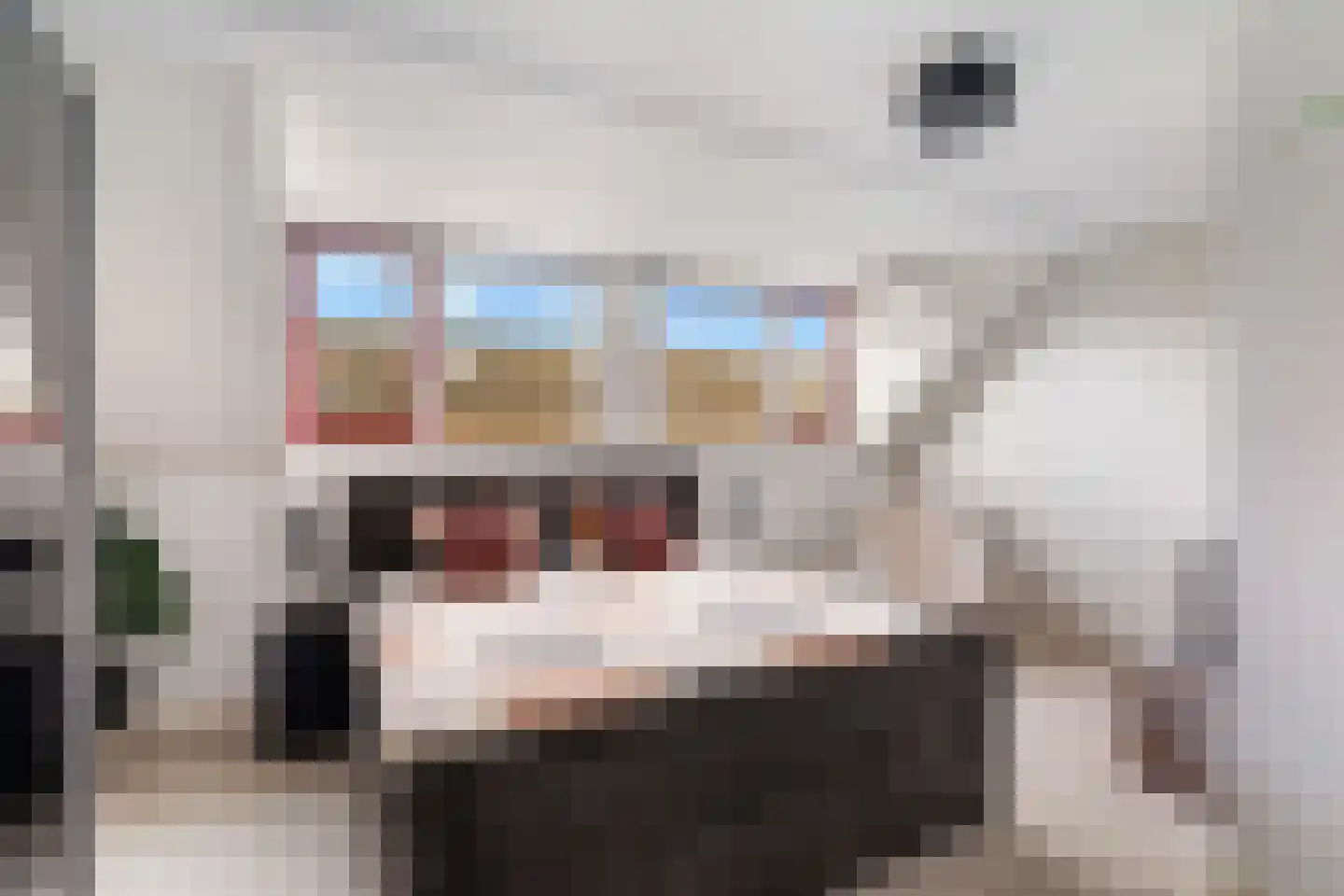 Rokkeveenseweg 1 G Zoetermeer thumbnail 28
