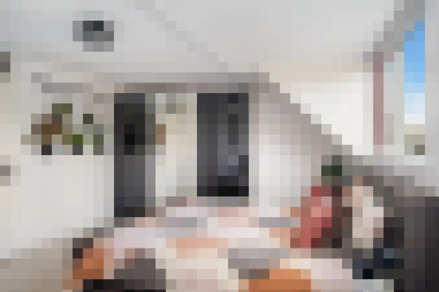 Rokkeveenseweg 1 G Zoetermeer thumbnail 30