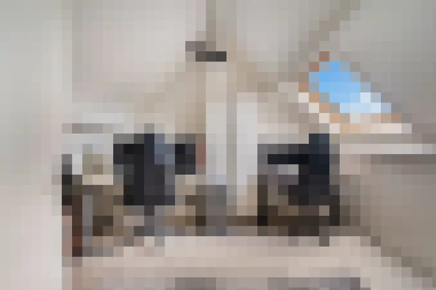 Rokkeveenseweg 1 G Zoetermeer thumbnail 41