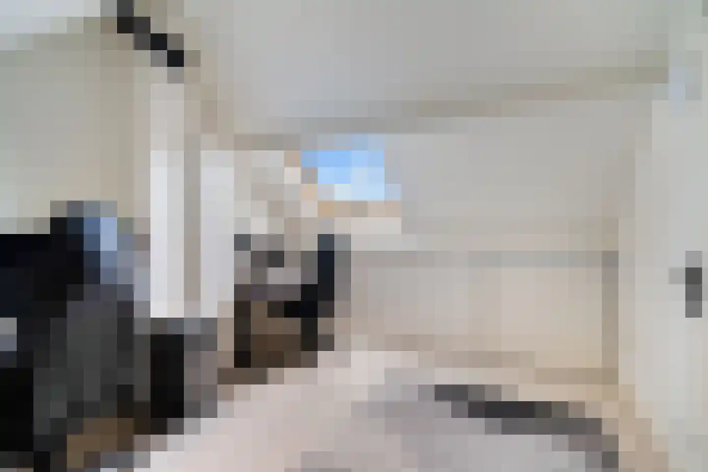 Rokkeveenseweg 1 G Zoetermeer thumbnail 42