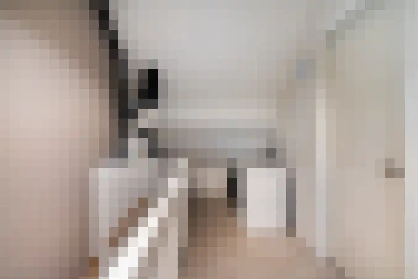 Rokkeveenseweg 1 G Zoetermeer thumbnail 44
