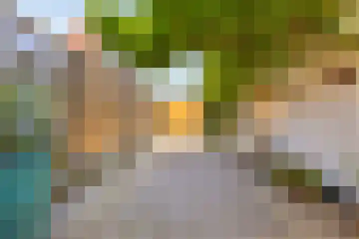 Rokkeveenseweg 39 Zoetermeer thumbnail 25