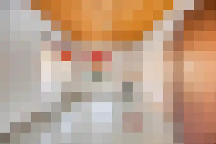 Rokkeveenseweg 39 Zoetermeer thumbnail 31