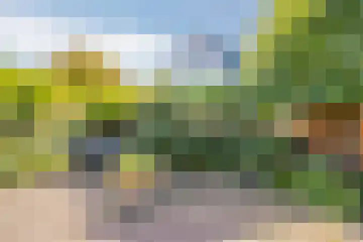Rokkeveenseweg 39 Zoetermeer thumbnail 42