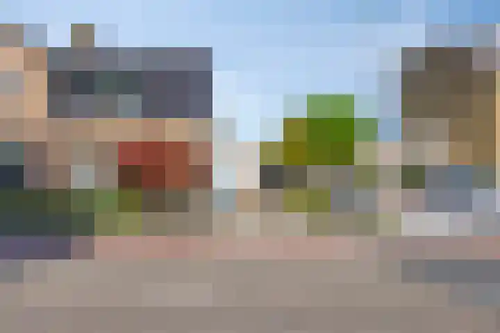 Rokkeveenseweg 39 Zoetermeer thumbnail 44