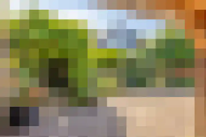 Rokkeveenseweg 39 Zoetermeer thumbnail 6