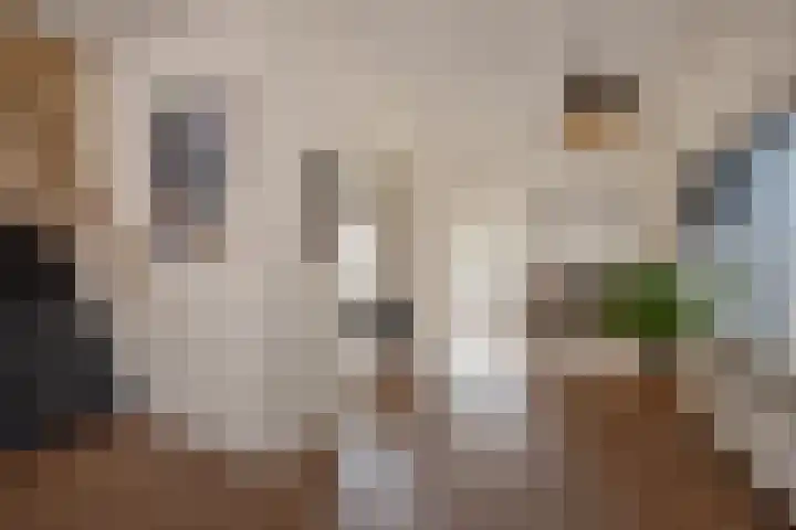 Rokkeveenseweg 8 Zoetermeer thumbnail 12