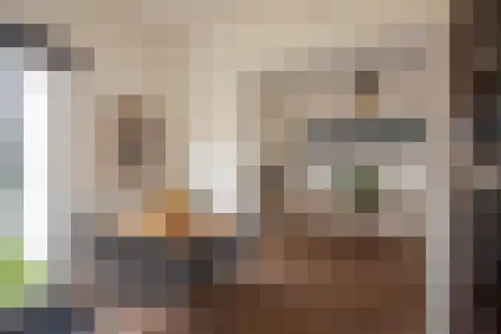 Rokkeveenseweg 8 Zoetermeer thumbnail 18