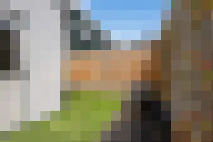 Rokkeveenseweg 8 Zoetermeer thumbnail 21