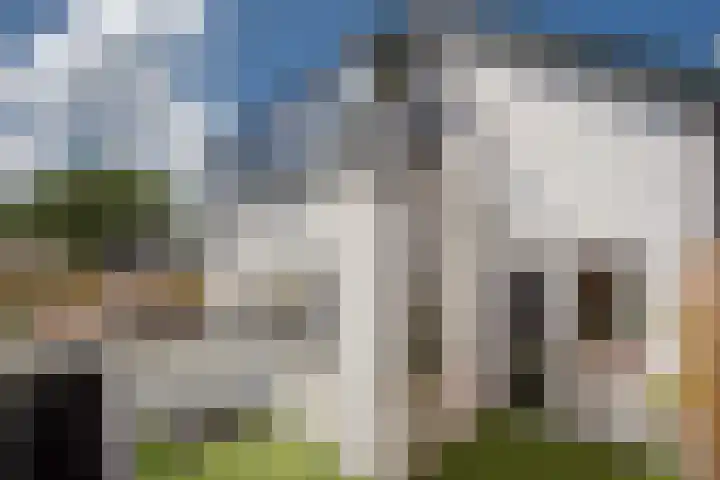 Rokkeveenseweg 8 Zoetermeer thumbnail 22
