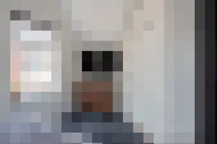 Rokkeveenseweg 8 Zoetermeer thumbnail 30