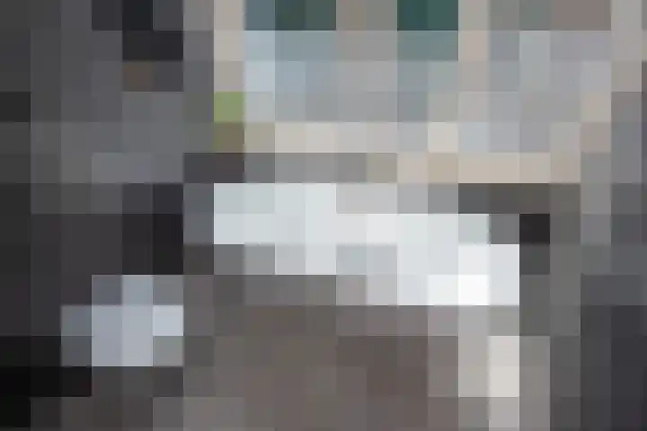Rokkeveenseweg 8 Zoetermeer thumbnail 32