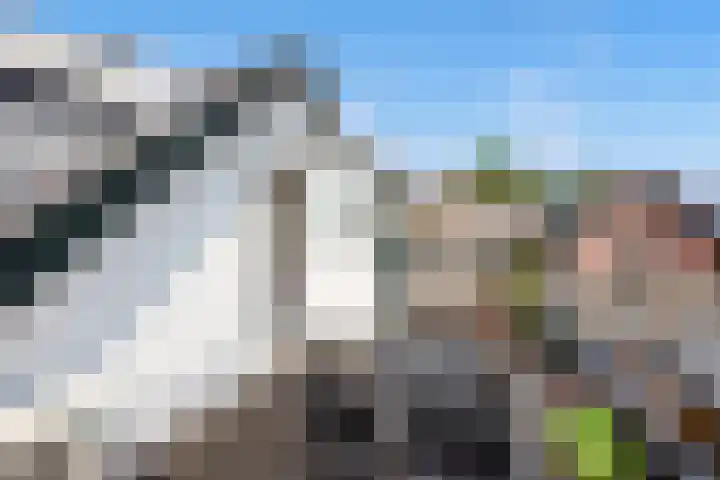Rokkeveenseweg 8 Zoetermeer thumbnail 38