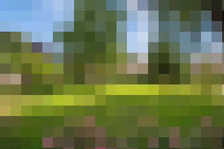Rokkeveenseweg 8 Zoetermeer thumbnail 42