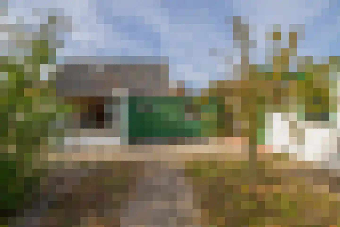 Rokkeveenseweg Zuid 122 Zoetermeer thumbnail 28