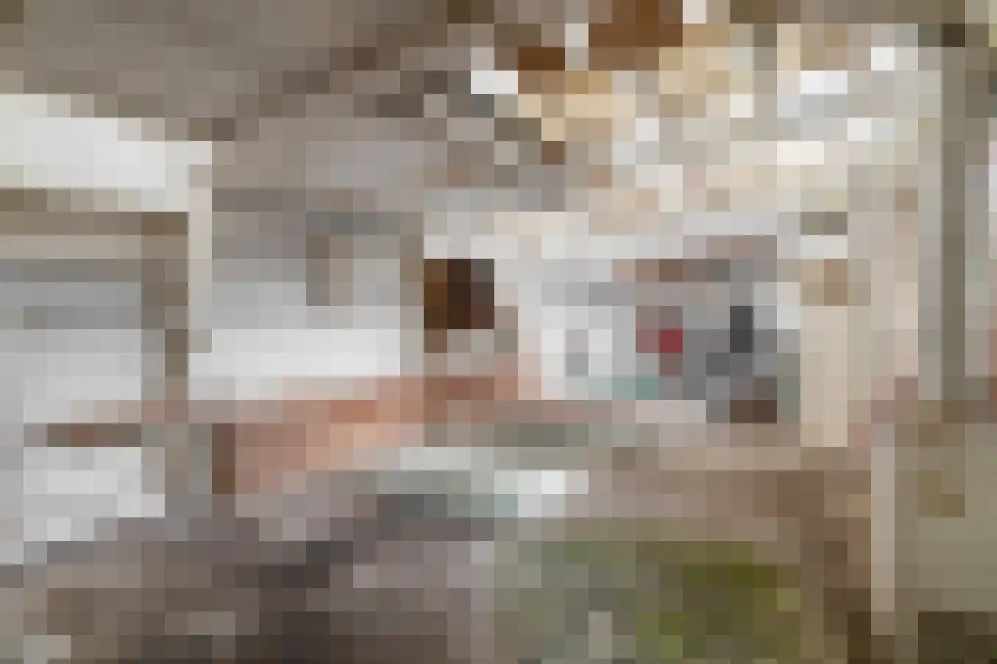 Rokkeveenseweg Zuid 122 Zoetermeer thumbnail 32