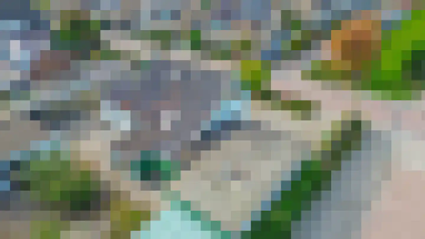 Rokkeveenseweg Zuid 122 Zoetermeer thumbnail 39