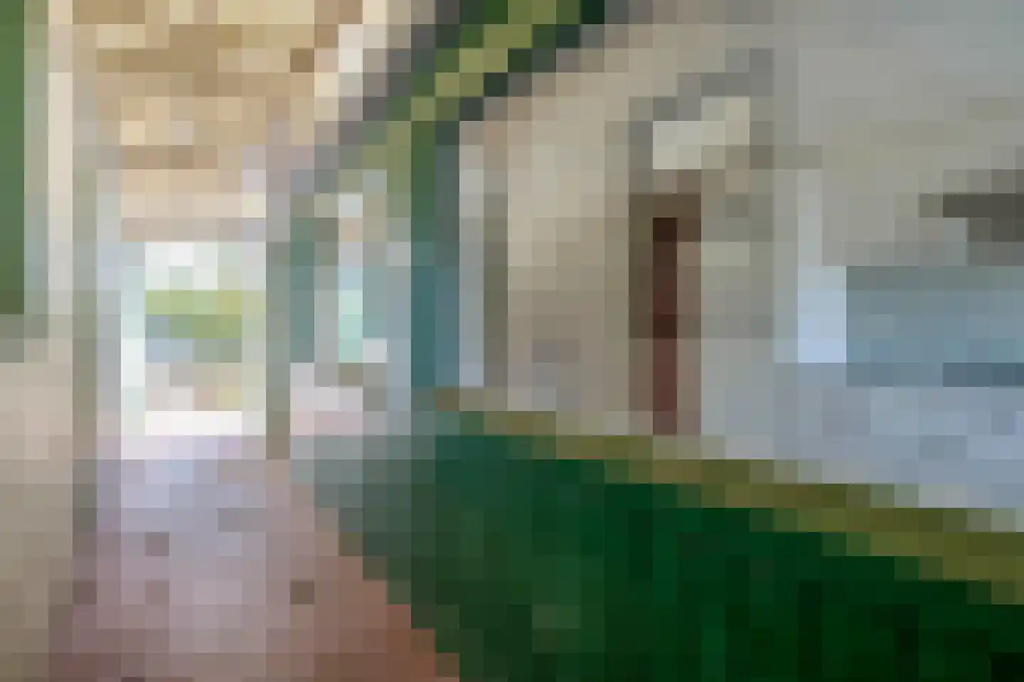 Rokkeveenseweg Zuid 122 Zoetermeer thumbnail 6