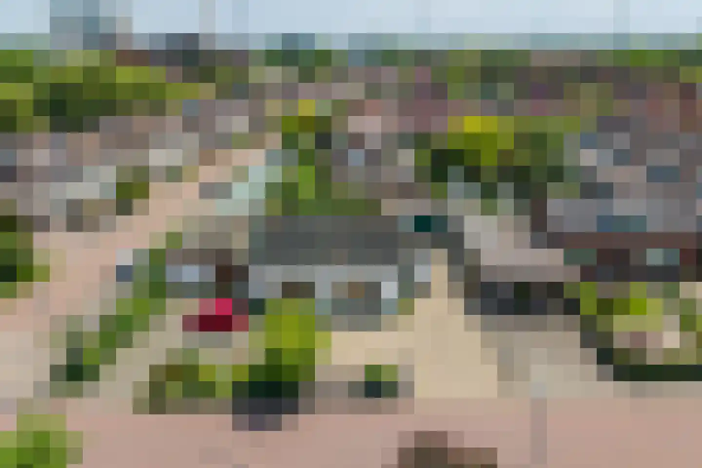 Rokkeveenseweg Zuid 124 Zoetermeer thumbnail 10