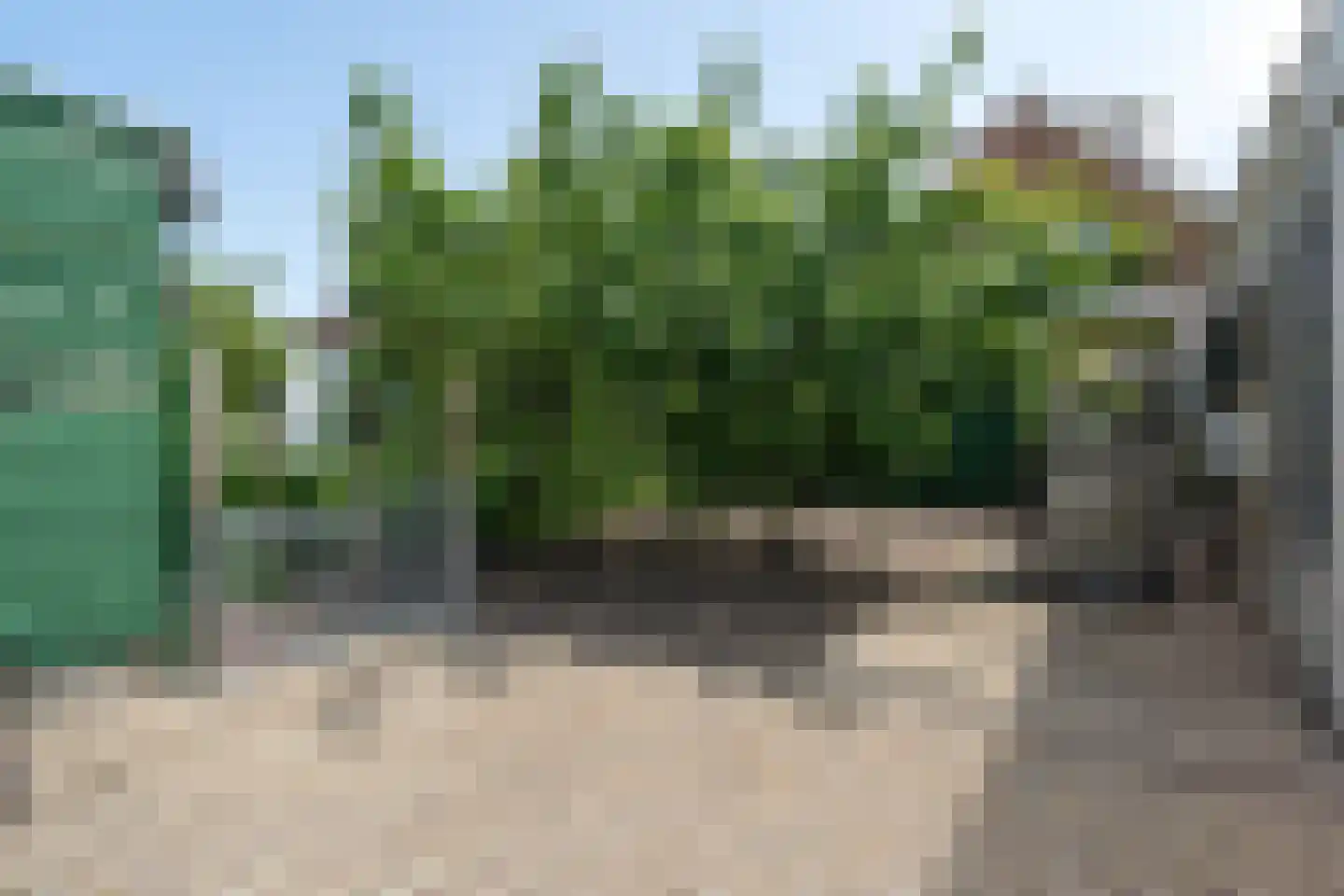 Rokkeveenseweg Zuid 124 Zoetermeer thumbnail 21