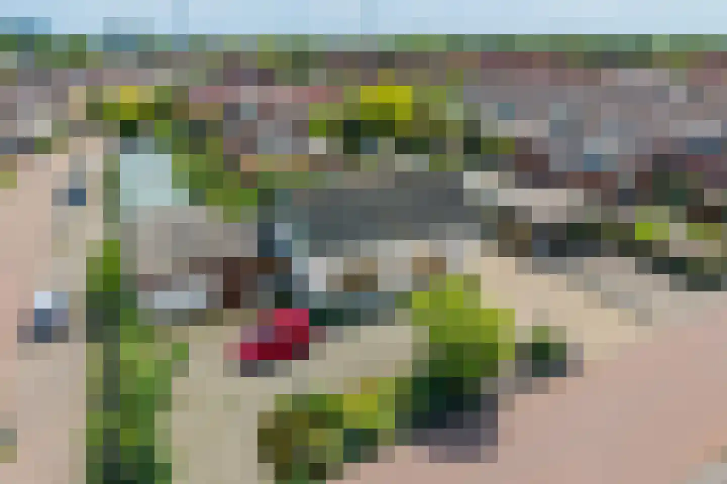 Rokkeveenseweg Zuid 124 Zoetermeer thumbnail 9