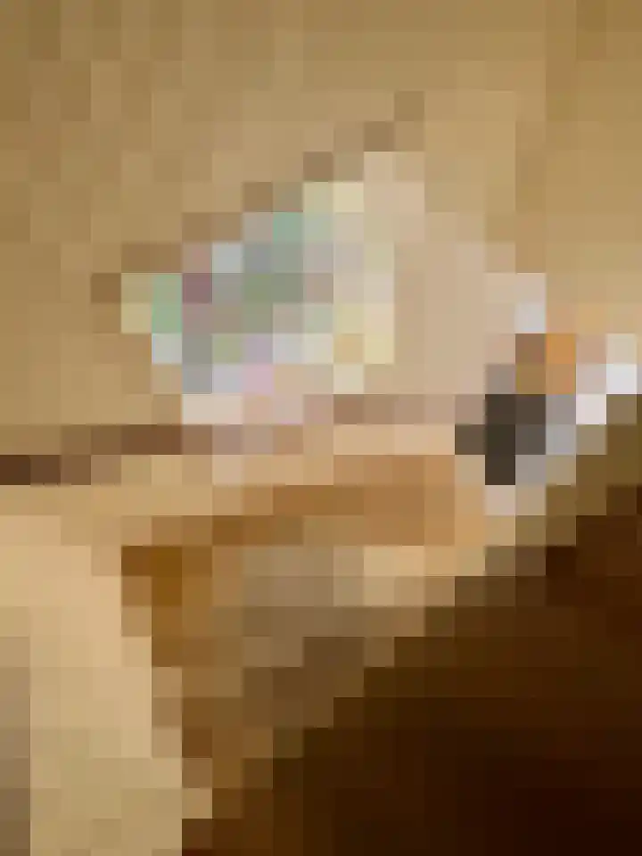 Rolafweg Noord 20 Lopik thumbnail 17