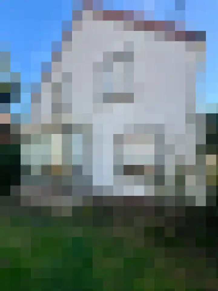 Rolafweg Noord 20 Lopik foto 2