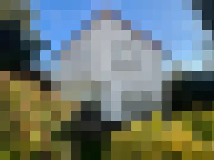 Rolafweg Noord 20 Lopik foto 3