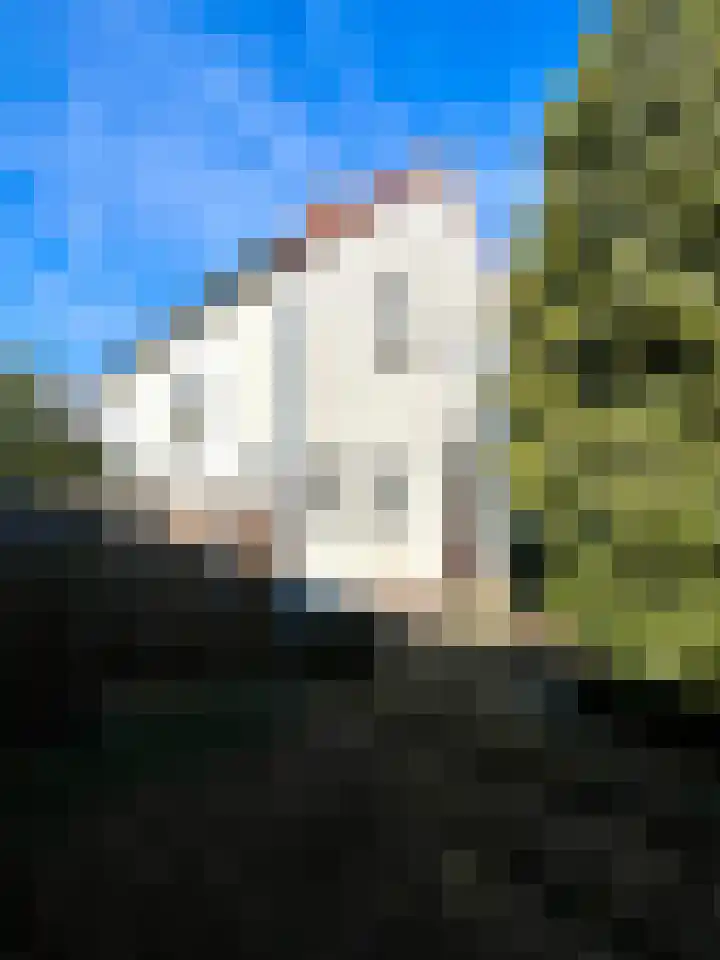 Rolafweg Noord 20 Lopik thumbnail 5