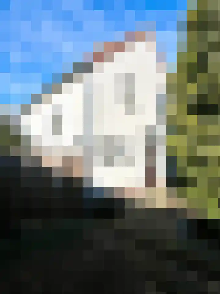 Rolafweg Noord 20 Lopik thumbnail 6