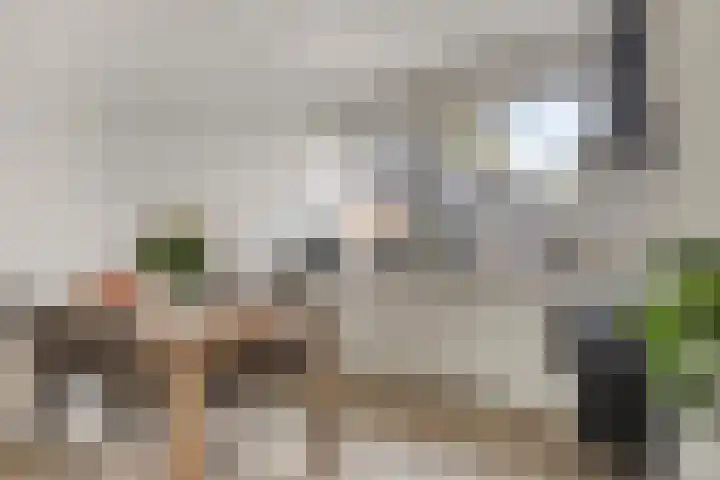 Rolafweg Noord 7 B Lopik thumbnail 15