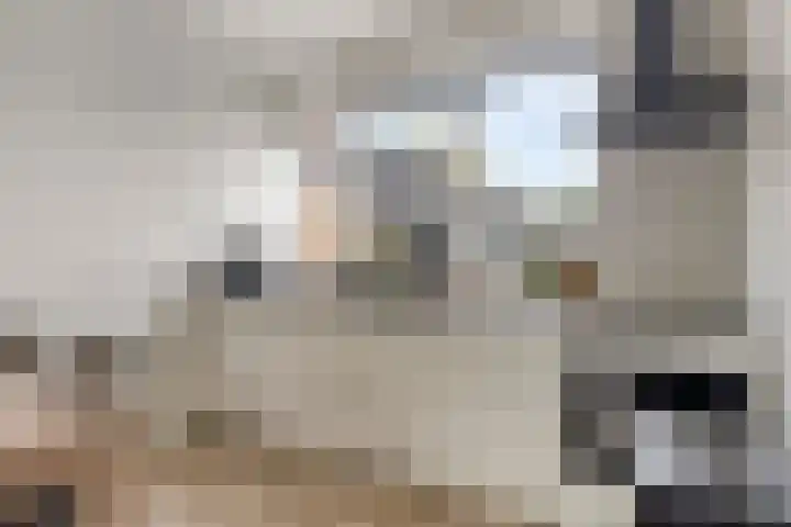 Rolafweg Noord 7 B Lopik thumbnail 17