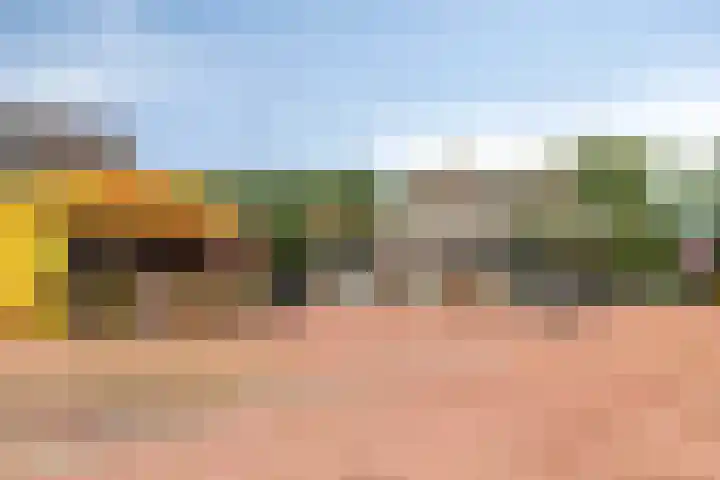 Rolafweg Noord 7 B Lopik thumbnail 34