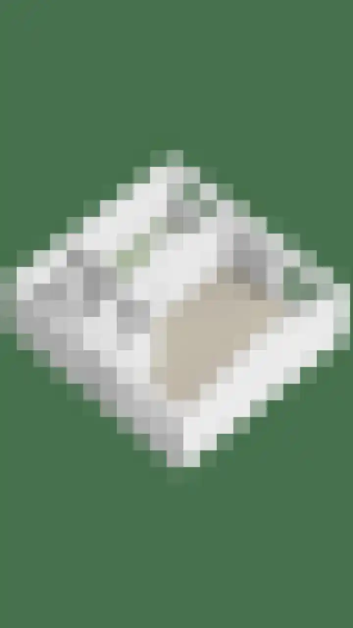 Rolafweg Noord 7 B Lopik thumbnail 39