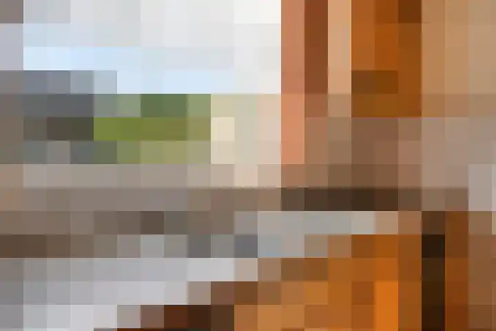 Roland 10 Castenray thumbnail 14