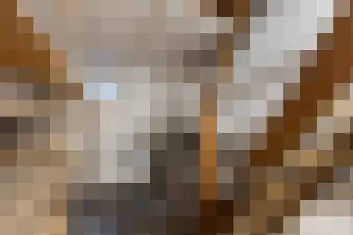 Roland 10 Castenray thumbnail 23