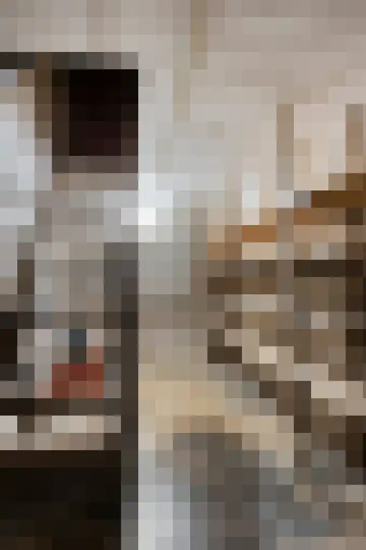 Roland 10 Castenray thumbnail 24