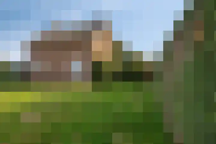 Roland 10 Castenray thumbnail 34