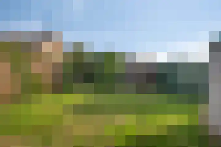 Roland 10 Castenray thumbnail 35