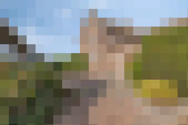 Roland 10 Castenray thumbnail 36