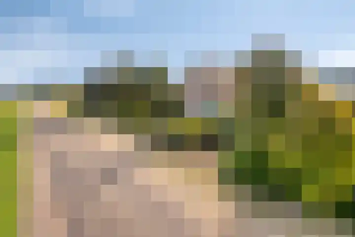 Roland 10 Castenray thumbnail 4