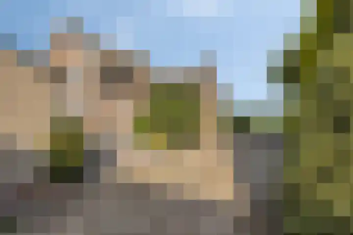 Roland 10 Castenray thumbnail 40