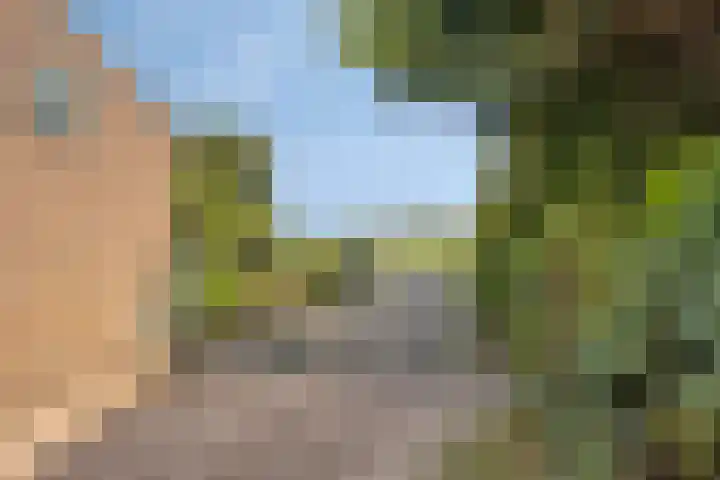 Roland 10 Castenray thumbnail 41