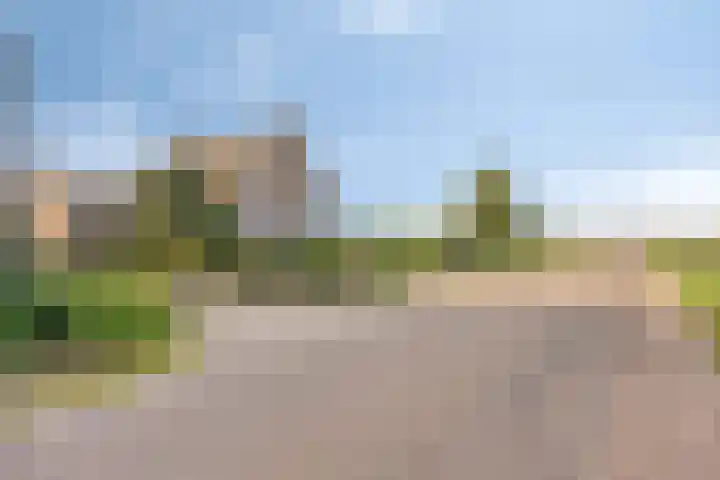 Roland 10 Castenray thumbnail 43