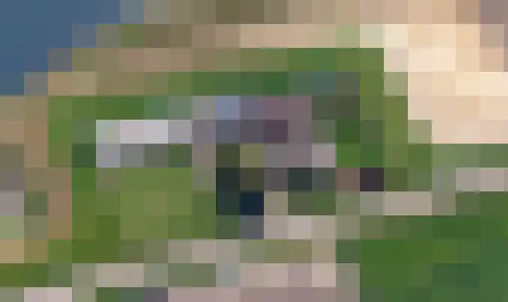 Roland 10 Castenray thumbnail 44